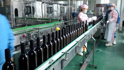 從山楂到佳釀 現(xiàn)代化山楂酒生產(chǎn)線全景解析